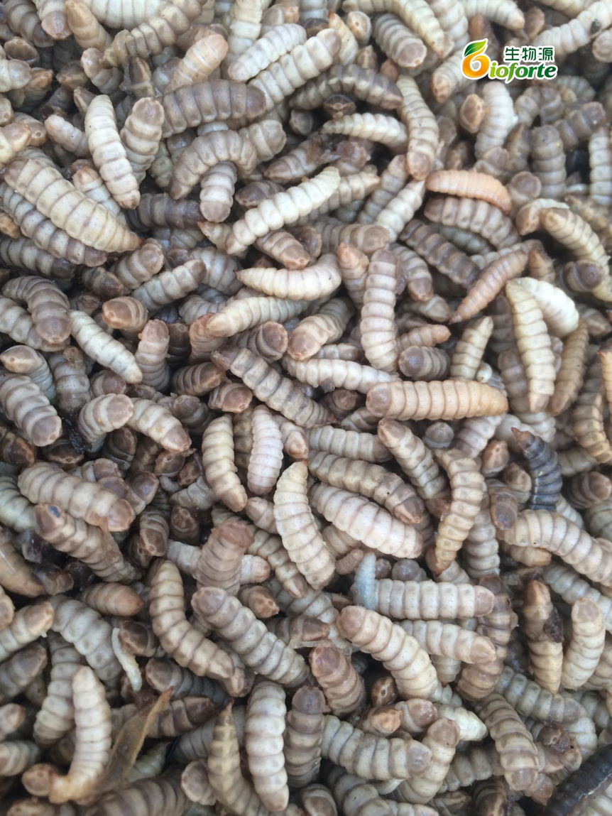 1676884473900254.png image.png