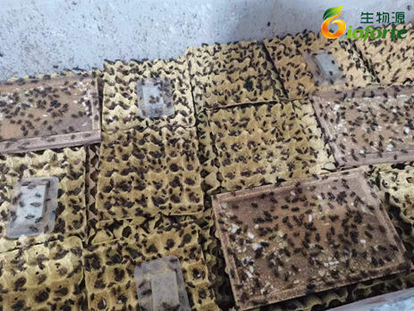 1696554326880712.png image.png